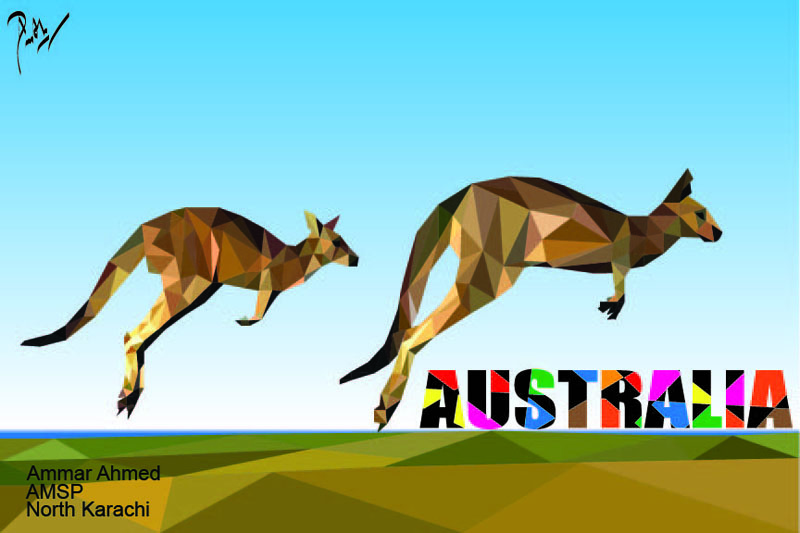 Kangaroo