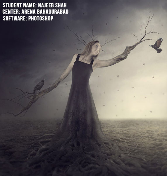 Nature Dead