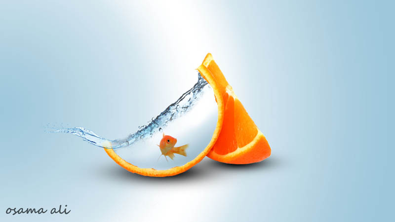 Photo Manipulation